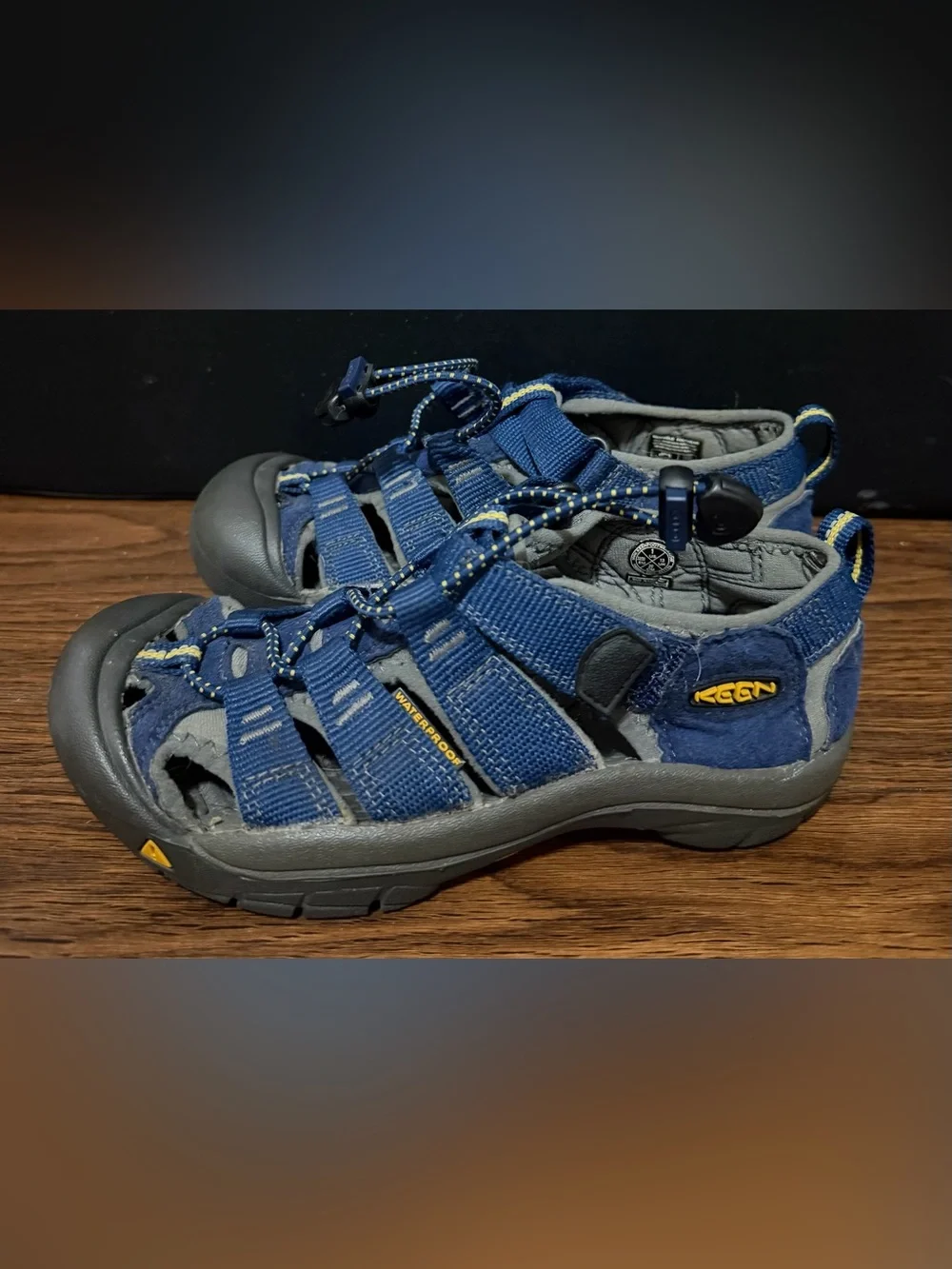 KEEN Newport H2 Sandals